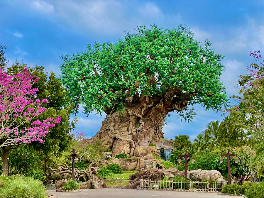 El árbol Tree of Life de Animal Kingdom en Walt Disney World