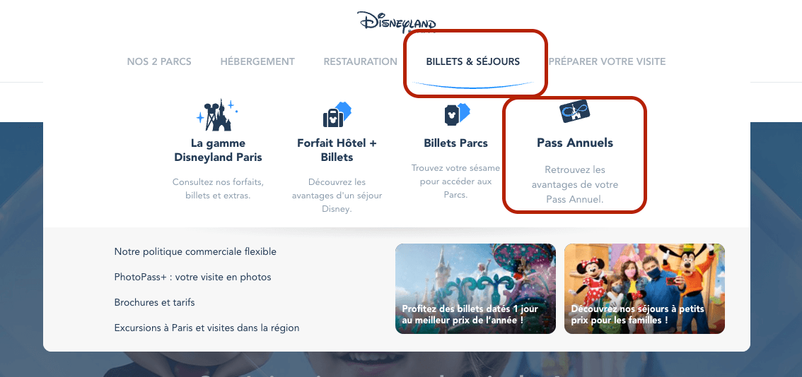 Comprar pase anual Disneyland Paris online cambio a Francia paso 2