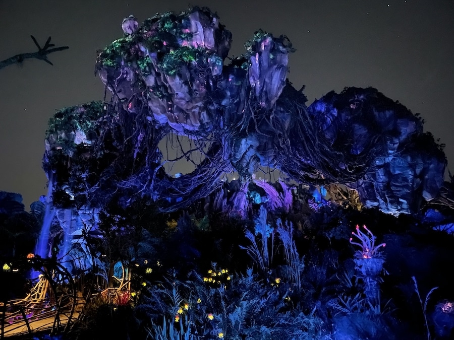 Pandora The World of Avatar en Animal Kingdom de noche