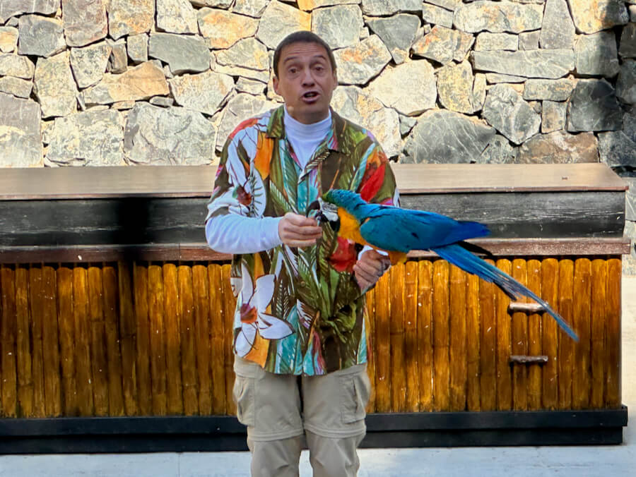 Espectáculo Aves del Paraíso PortAventura