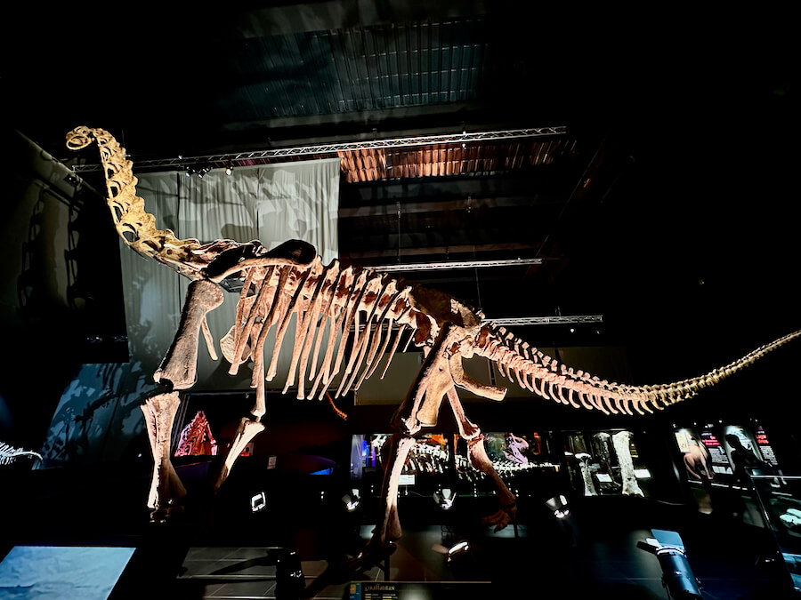 Esqueleto de Turiasaurus en el museo de Dinópolis Teruel