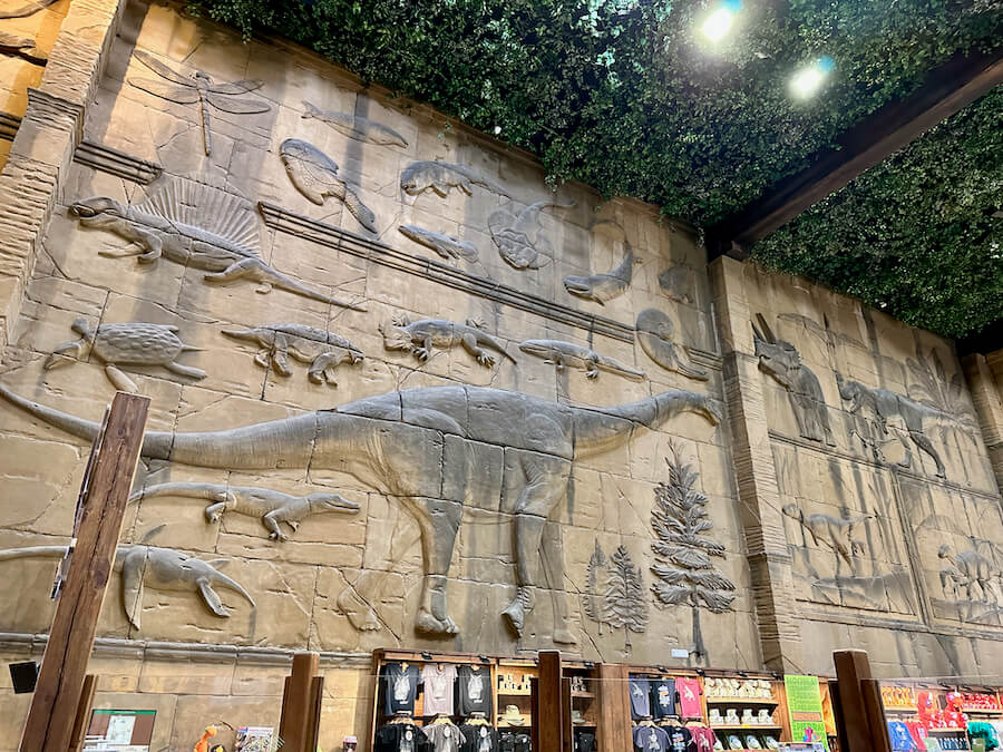 Relieves de dinosaurios en la tienda de Dinópolis Teruel