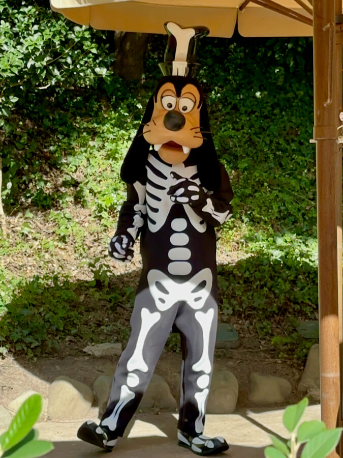 Goofy esqueleto - Personajes Halloween Disneyland Paris